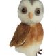 Miniature Owl